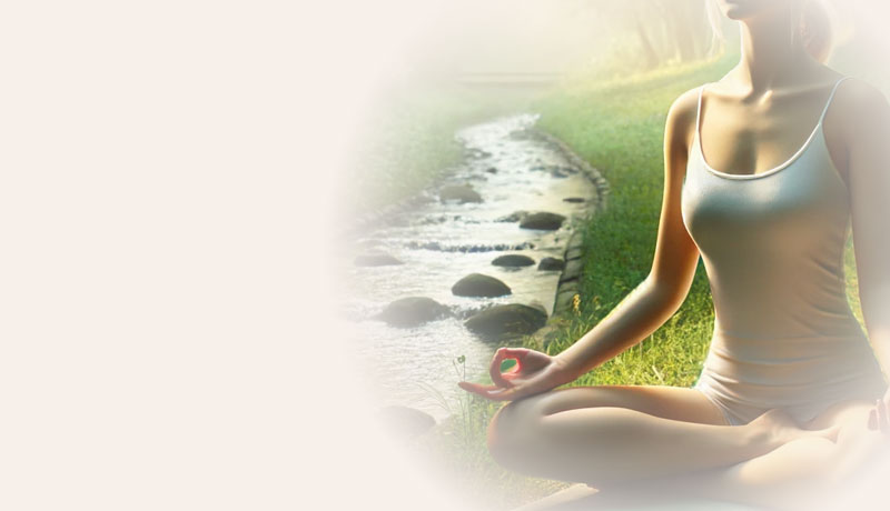 Zen Life Counselling - Mindfulness, Breath Work & Zen Embodiment
