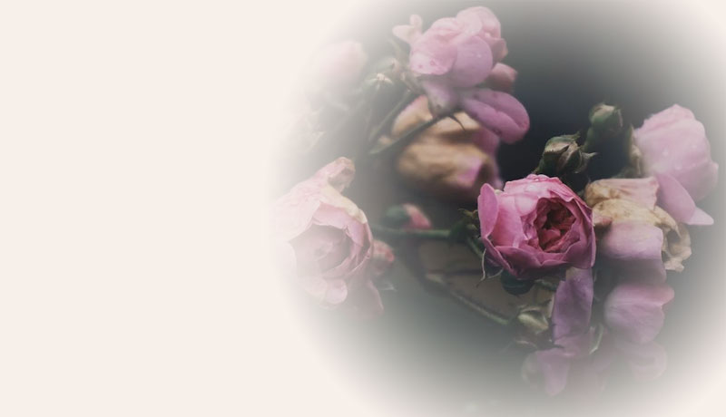 Zen Life Counselling - Grief and Loss